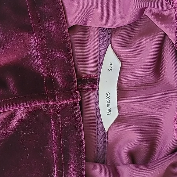Bluenote Burgundy Velvet Cropped Zipper Hoodie, Size S - Picture 4 of 7